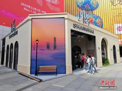 （第八届进博会）汇集百余新品 第八届进博会上海馆亮相